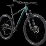 VTT Cannondale Trail SE 2 gris avec dérailleur Sram SX Eagle.