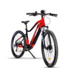 Détail du poste de pilotage et de l'écran LCD de l'UrbanBiker Dakota PLUS.