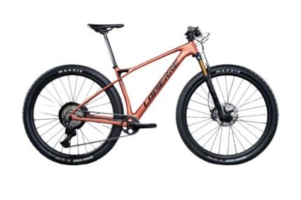 VTT compétition Lapierre Prorace 8.9 avec jantes en carbone.