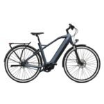 Moyeu haut de gamme Shimano Alfine 8 sur l'O2feel iSwan 8.